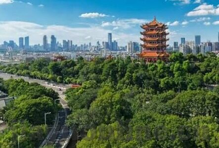 91麻豆视频国产-探索本土创意内容新视角，91麻豆视频与传统文化的交融