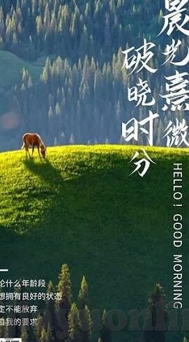 麻豆最新app-深入了解麻豆最新App——移动互联网的时尚新宠