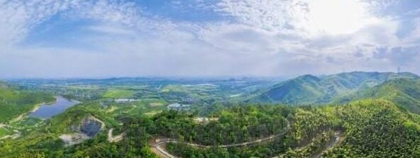 糖心vlog成人安卓-应用的风险与安全边界，以糖心Vlog为例